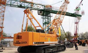 칤ؙC(j)؛e͏S(xing)Ŀ